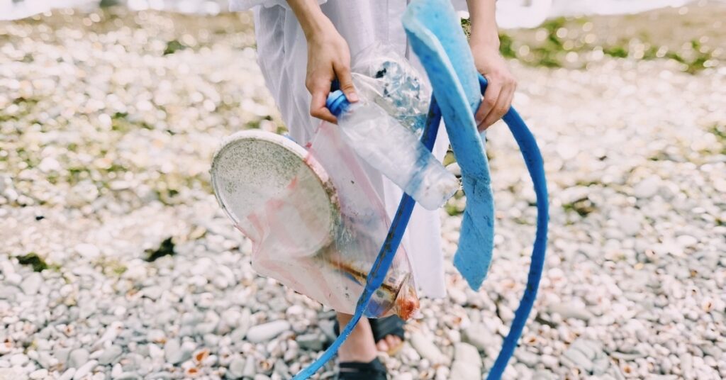 xenoestrogens homone imbalance