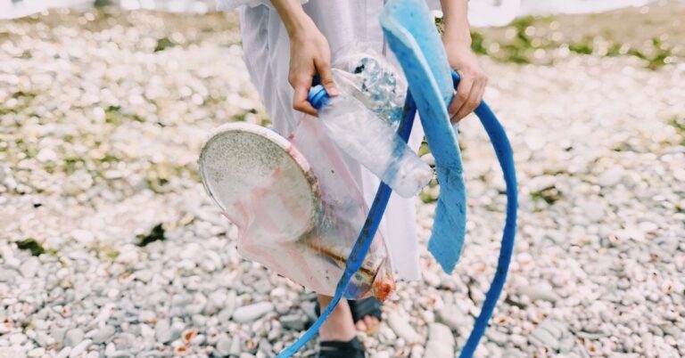 xenoestrogens homone imbalance