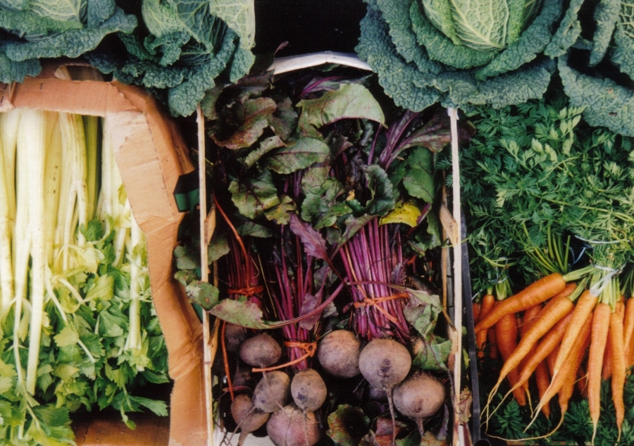 east bay farmers market naturopath doctor